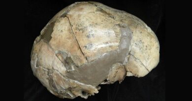 Двом неандертальцям і кроманьйонцю попередньо діагностували туберкульоз