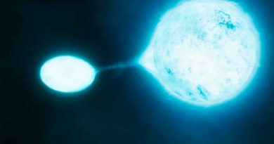 Відкрито популяцію гарячих гелієвих зірок, які віддали свої атмосфери зіркам-компаньйонам