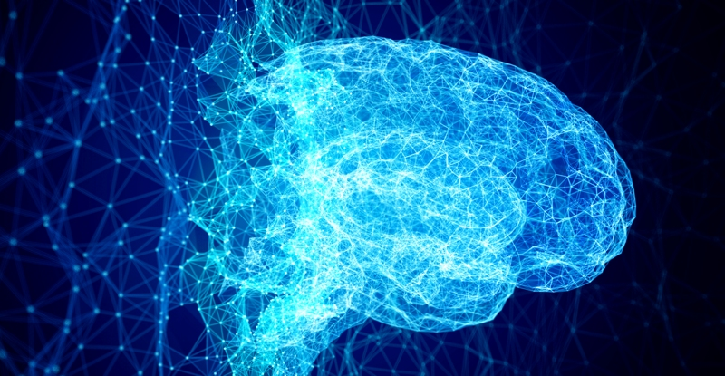 Перший у світі суперкомп'ютер розміром з людський мозок запрацює у 2024 році