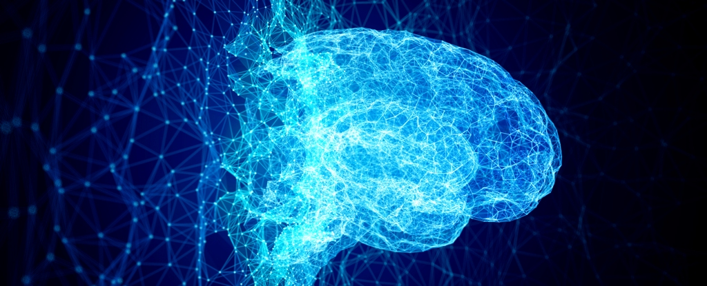 Перший у світі суперкомп'ютер розміром з людський мозок запрацює у 2024 році