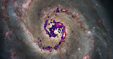 Астрономи знайшли спосіб побудувати карту зоряних "ясел" у галактиці Вир
