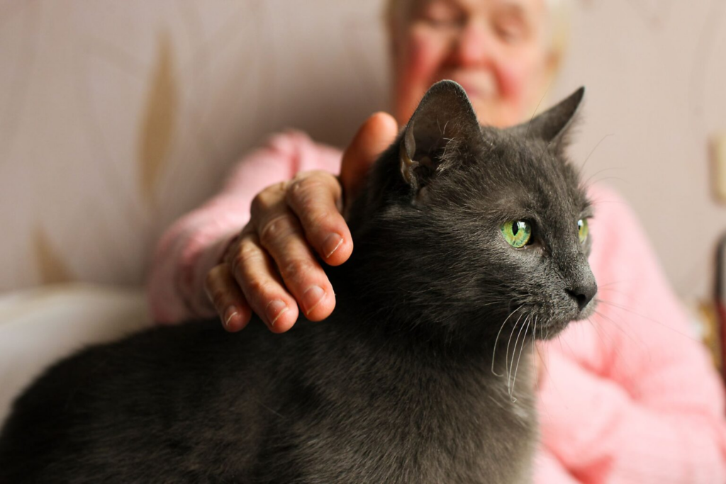 Домашні тварини підтримали пам'ять і мову самотніх літніх людей