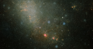 Мала Магелланова Хмара складається з двох галактик