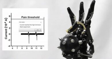 Почали “відчувати біль”: науковці створили датчик, який захистить роботів від ушкоджень (відео)