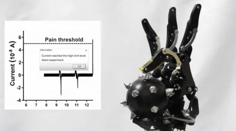 Почали “відчувати біль”: науковці створили датчик, який захистить роботів від ушкоджень (відео)