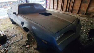 У сараї виявили Pontiac Trans Am 1978 року випуску, який простояв на місці 20 років