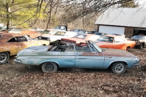 В американських лісах виявили понад десяток покинутих класичних маслкарів