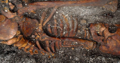 Знайдені кістки в Бразилії суперечать теорії про походження сифілісу в Європі від Колумба