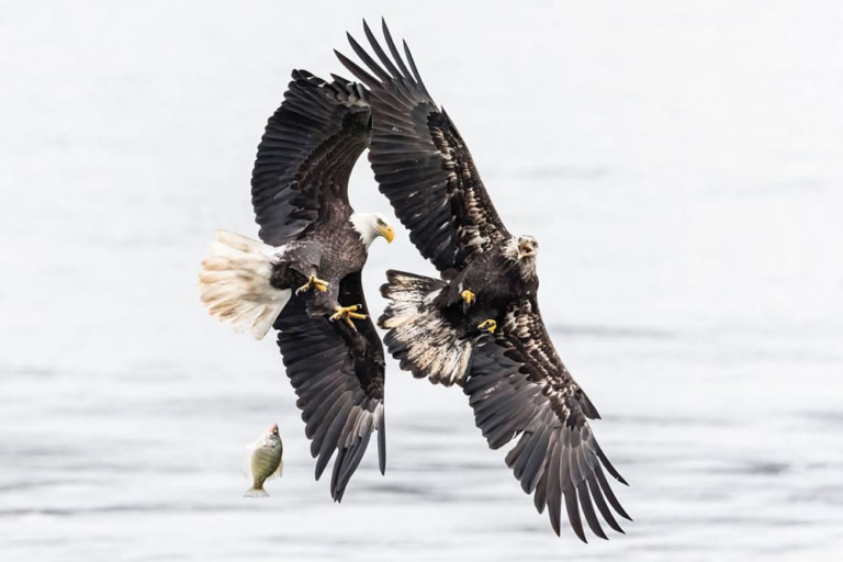 Стали відомі переможці фотоконкурсу Tamron