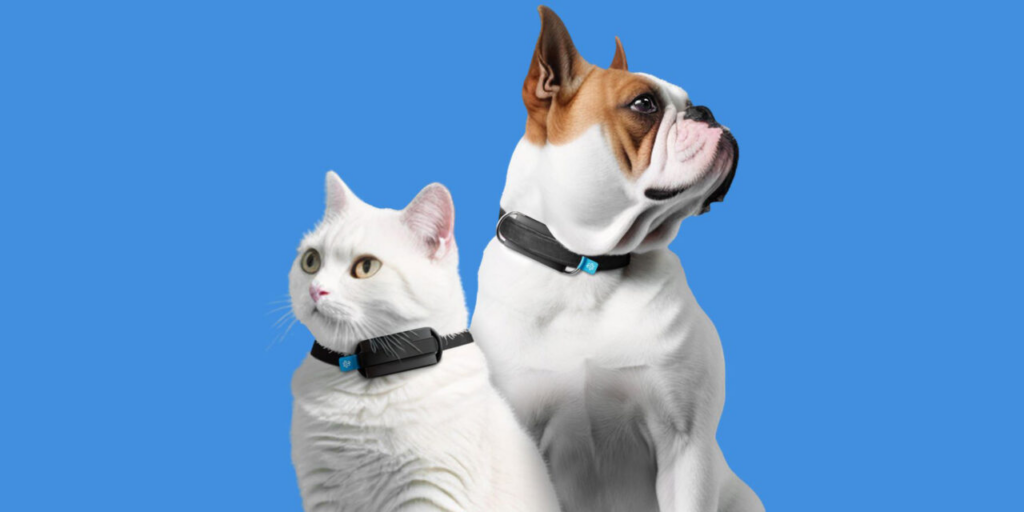 Invoxia представила фітнес-трекер для собак і котів - він стежить за диханням і серцем