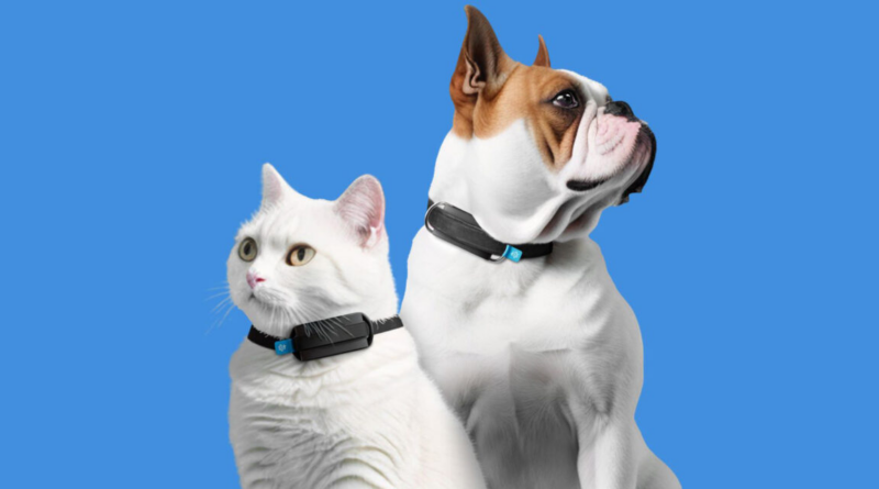 Invoxia представила фітнес-трекер для собак і котів - він стежить за диханням і серцем