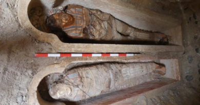 Археологи виявили 23 мумії в гробницях, висічених усередині скель