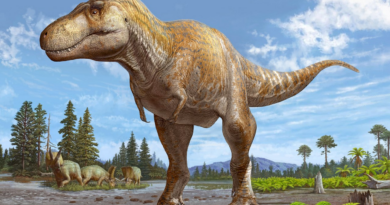 Палеонтологи відкрили найближчого родича Tyrannosaurus rex