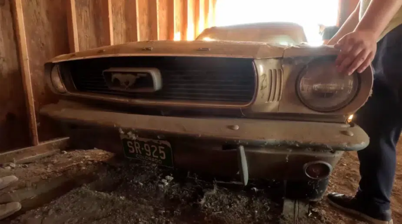 В США у сараї знайшли покинутий кабріолет Ford Mustang (Відео)