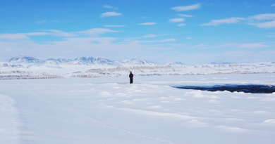 Вперше в арктичному снігу виявлено забруднювачі від сонцезахисного крему