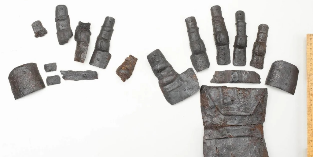 У Швейцарії знайшли неушкоджену середньовічну рукавичку XIV століття