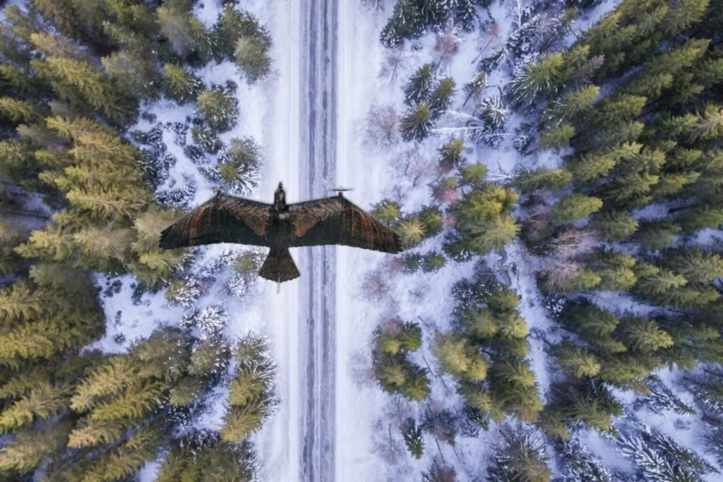 Нідерландська компанія показала розвідувальний дрон, схожий на орла