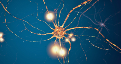 Нейрони в мозку слідують чіткому математичному шаблону, - дослідження