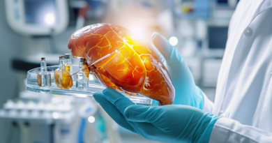Новий прорив у трансплантації: свинячу печінку вперше використали для обробки людської крові