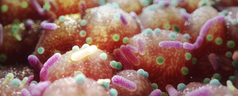 Важливе відкриття: Хімічна речовина, що виробляється кишковими мікробами, запобігає ожирінню у мишей