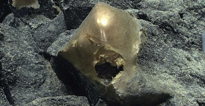 Вчені знайшли на дні океану містичну золоту кулю
