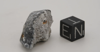 Астероїд, що вибухнув над Німеччиною, виявився дуже рідкісним метеоритом