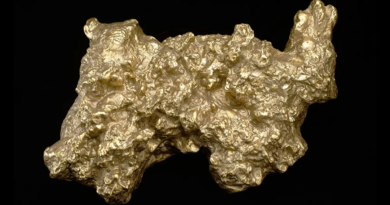 Знайдено найбільший золотий самородок, вагою з дорослу людину