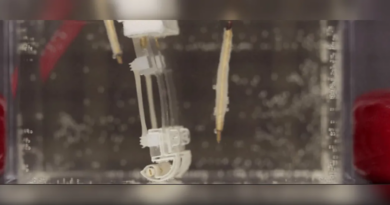 Японські вчені створили двоногого "біогібридного робота"