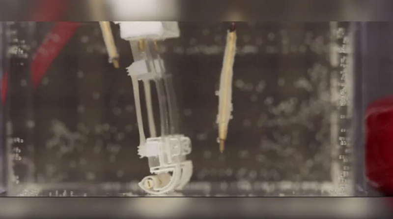 Японські вчені створили двоногого "біогібридного робота"