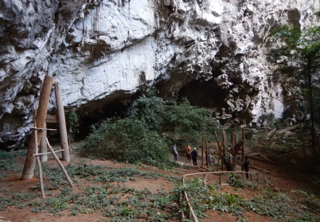 Таємничі 2300-річні гігантські дерев'яні труни на палях знайшли у печерах по всьому Таїланду