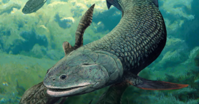 В одному з найстаріших озер світу знайшли ікласту рибу віком 380 мільйонів років