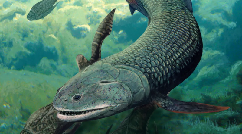 В одному з найстаріших озер світу знайшли ікласту рибу віком 380 мільйонів років