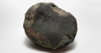 Метеорит Альєнде: Космічний камінь, що впав на Землю, містить позаземні білки та пил, старші за Сонце