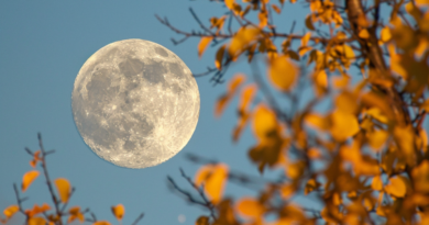 Експерти пояснили, чому неможливо побачити повний місяць вдень