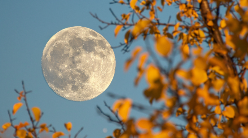 Експерти пояснили, чому неможливо побачити повний місяць вдень