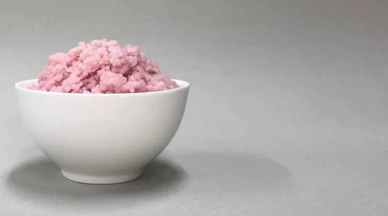 Вирощений у лабораторії гібрид яловичини та рису може стати їжею майбутнього
