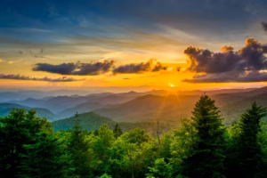 Широкомасштабне відновлення лісів захистило схід США від зміни клімату