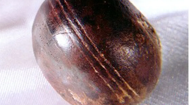 У скелі віком 3 мільярди років знайдено дивні Клерксдорпські сфери