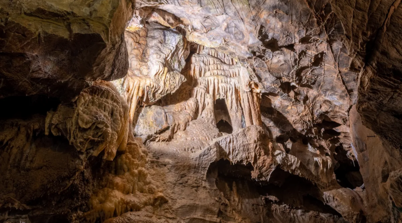 Таємниці печери Гофа: Канібалізм і стародавні ритуали 14 700-річної давнини