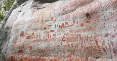 Наскельний живопис вказує на поселення людей у Амазонії 12 600 років тому