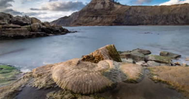 Мисливці за скам'янілостями простежили 200-мільйонну історію уздовж узбережжя Юрського періоду