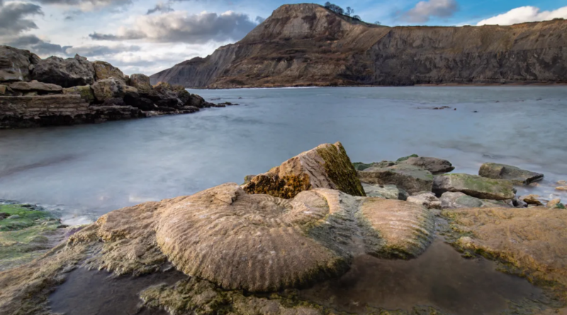 Мисливці за скам'янілостями простежили 200-мільйонну історію уздовж узбережжя Юрського періоду