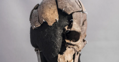 Через 5 000 років розкриті нові подробиці про життя і смерть людини Вітрупа