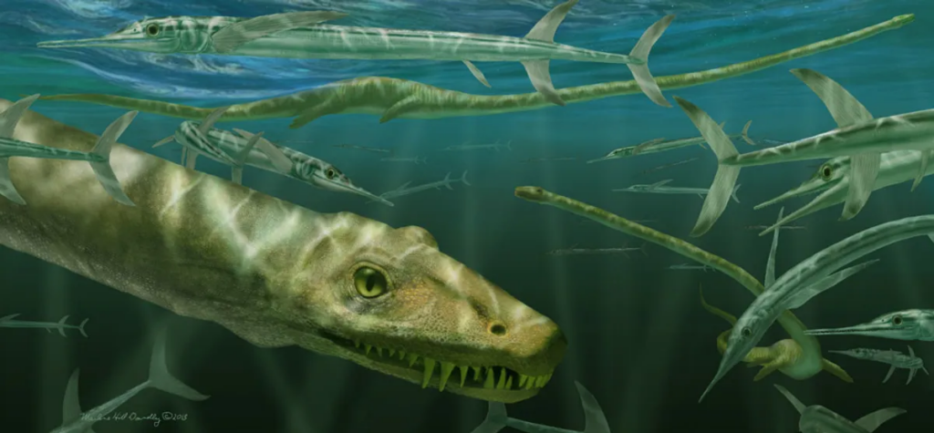 Вперше повністю розкрито скам'янілого "китайського дракона" віком 240 мільйонів років