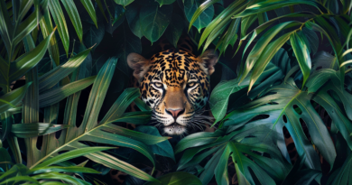Учені зняли на відео групу тварин, які переховувалися в джунглях роками