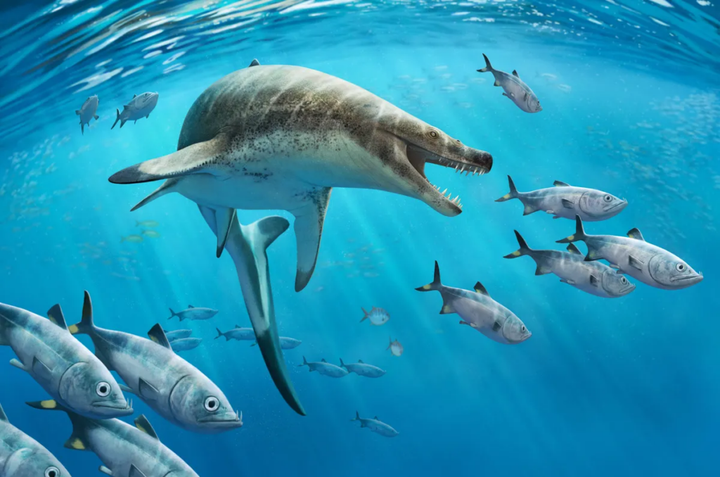 Гігантська "морська ящірка" панувала в океанах 66 мільйонів років тому завдяки кинджалоподібним зубам