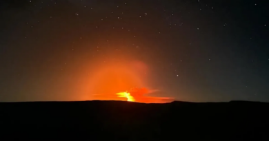 Видовищне виверження вулкану на Галапагоських островах освітило опівнічне небо