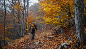 Учені з'ясували, як кількість пройдених кроків за тиждень впливає на довголіття