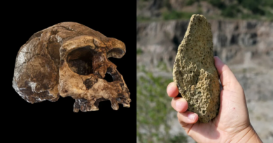 Кам'яні знаряддя праці, знайдені в Україні, свідчать про появу доісторичних людей 1,4 мільйона років тому