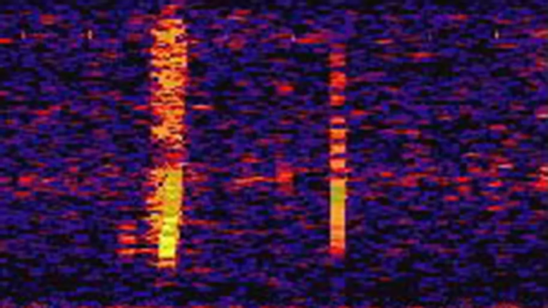 У найвіддаленішій точці Землі вчені почули дивний звук